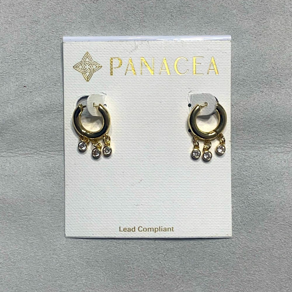 Panacea Small Hoop Earrings with Dangling Crystals